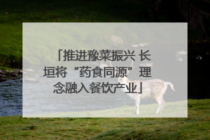 推进豫菜振兴 长垣将“药食同源”理念融入餐饮产业