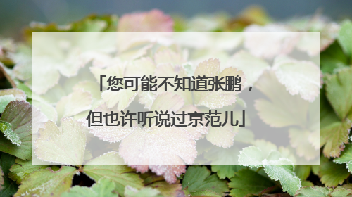 您可能不知道张鹏，但也许听说过京范儿