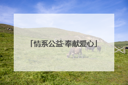 情系公益·奉献爱心
