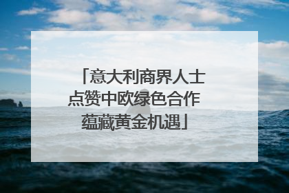 意大利商界人士点赞中欧绿色合作蕴藏黄金机遇