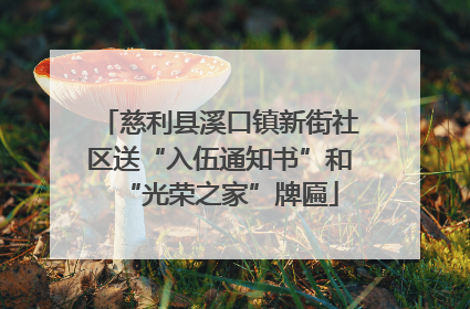 慈利县溪口镇新街社区送“入伍通知书”和“光荣之家”牌匾