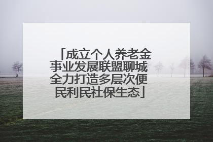 成立个人养老金事业发展联盟聊城全力打造多层次便民利民社保生态