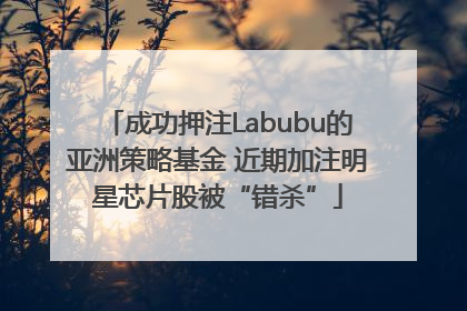 成功押注Labubu的亚洲策略基金 近期加注明星芯片股被“错杀”