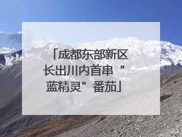 成都东部新区长出川内首串“蓝精灵”番茄