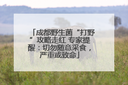 成都野生菌“打野”攻略走红 专家提醒：切勿随意采食，严重或致命