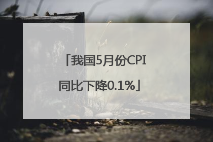 我国5月份CPI同比下降0.1%