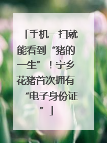 手机一扫就能看到“猪的一生”！宁乡花猪首次拥有“电子身份证”