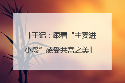 手记：跟着“主委进小岛”感受共富之美