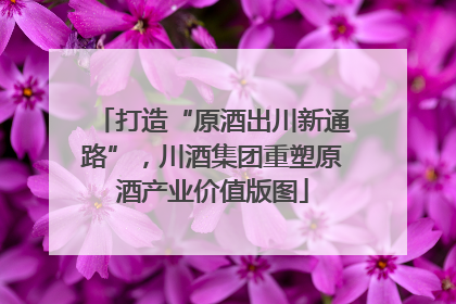 打造“原酒出川新通路”，川酒集团重塑原酒产业价值版图