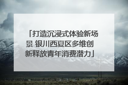 打造沉浸式体验新场景 银川西夏区多维创新释放青年消费潜力