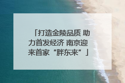 打造金陵品质 助力首发经济 南京迎来首家“胖东来”