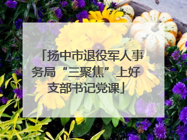 扬中市退役军人事务局“三聚焦”上好支部书记党课