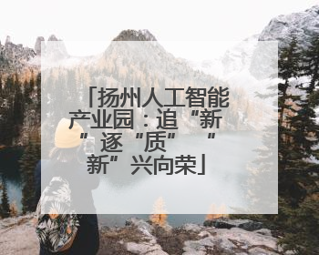 扬州人工智能产业园：追“新”逐“质” “新”兴向荣