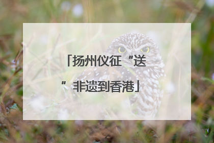 扬州仪征“送”非遗到香港