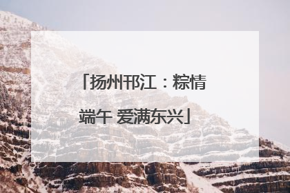 扬州邗江：粽情端午 爱满东兴