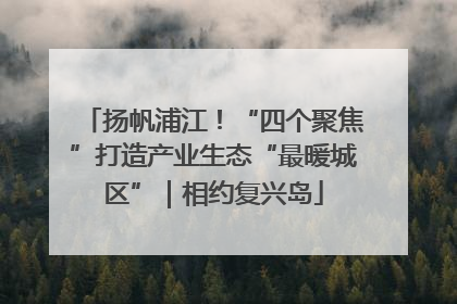 扬帆浦江！“四个聚焦”打造产业生态“最暖城区”｜相约复兴岛