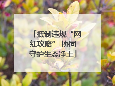 抵制违规“网红攻略” 协同守护生态净土
