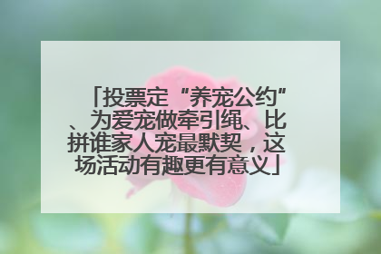 投票定“养宠公约”、为爱宠做牵引绳、比拼谁家人宠最默契，这场活动有趣更有意义