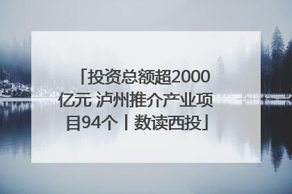 投资总额超2000亿元 泸州推介产业项目94个丨数读西投