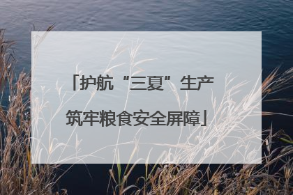 护航“三夏”生产 筑牢粮食安全屏障