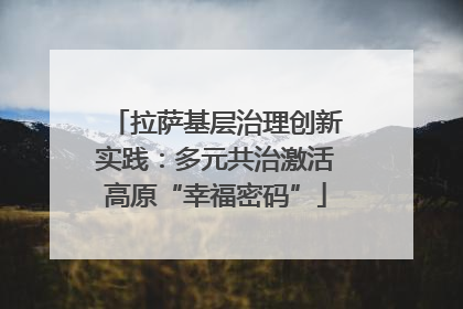 拉萨基层治理创新实践：多元共治激活高原“幸福密码”