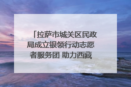 拉萨市城关区民政局成立银领行动志愿者服务团 助力西藏银发经济发展