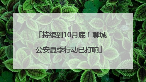 持续到10月底！聊城公安夏季行动已打响