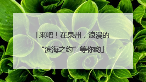 来吧！在泉州，浪漫的“滨海之约”等你哟