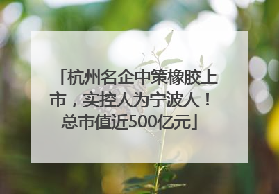 杭州名企中策橡胶上市，实控人为宁波人！总市值近500亿元