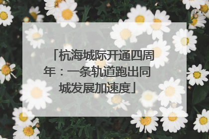 杭海城际开通四周年：一条轨道跑出同城发展加速度