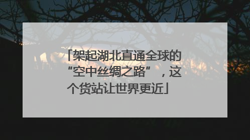 架起湖北直通全球的“空中丝绸之路”，这个货站让世界更近