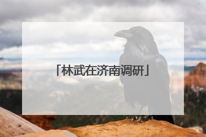林武在济南调研