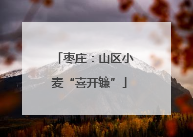 枣庄：山区小麦“喜开镰”