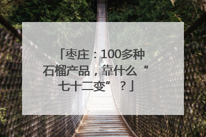枣庄：100多种石榴产品，靠什么“七十二变”？