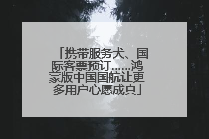 携带服务犬、国际客票预订……鸿蒙版中国国航让更多用户心愿成真