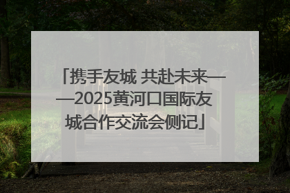 携手友城 共赴未来——2025黄河口国际友城合作交流会侧记