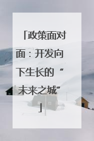 政策面对面：开发向下生长的“未来之城”