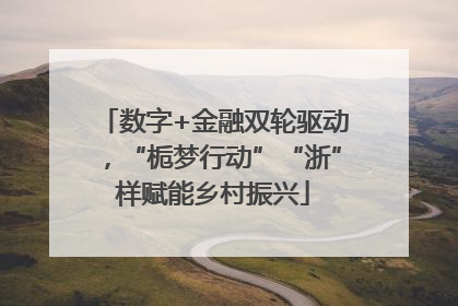 数字+金融双轮驱动，“栀梦行动”“浙”样赋能乡村振兴
