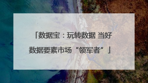 数据宝：玩转数据 当好数据要素市场“领军者”