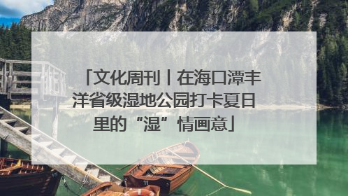 文化周刊丨在海口潭丰洋省级湿地公园打卡夏日里的“湿”情画意