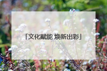 文化赋能 焕新出彩