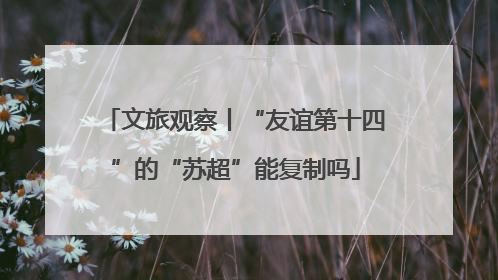 文旅观察丨“友谊第十四”的“苏超”能复制吗