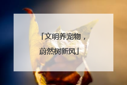 文明养宠物，蔚然树新风