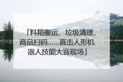 料箱搬运、垃圾清理、商品扫码……直击人形机器人技能大赛现场