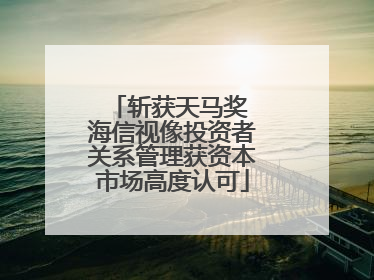 斩获天马奖 海信视像投资者关系管理获资本市场高度认可