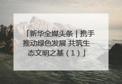 新华全媒头条｜携手推动绿色发展 共筑生态文明之基（1）