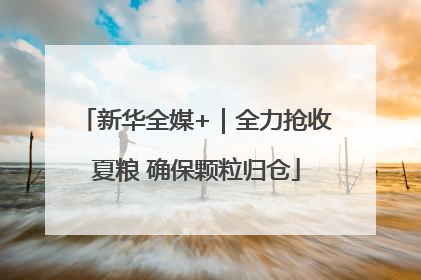 新华全媒+｜全力抢收夏粮 确保颗粒归仓