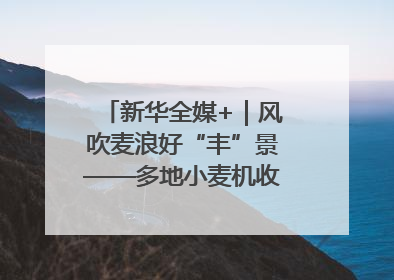 新华全媒+｜风吹麦浪好“丰”景——多地小麦机收一线见闻