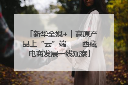新华全媒+｜高原产品上“云”端——西藏电商发展一线观察