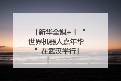 新华全媒+丨“世界机器人嘉年华”在武汉举行